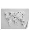 3D Wallpaper - White world map 3D | FEEBY