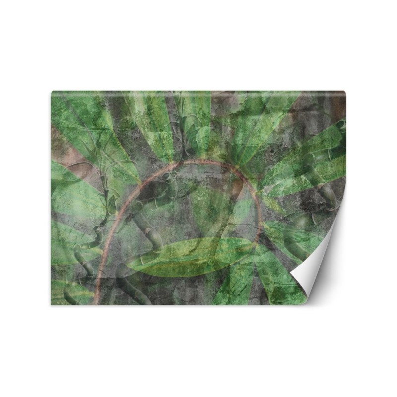 Modern wall murals - Tropical plants | FEEBY