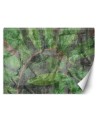 Modern wall murals - Tropical plants | FEEBY