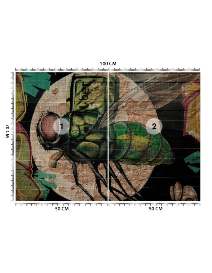 Wall mural - Green fly and moon graffiti on wall | FEEBY