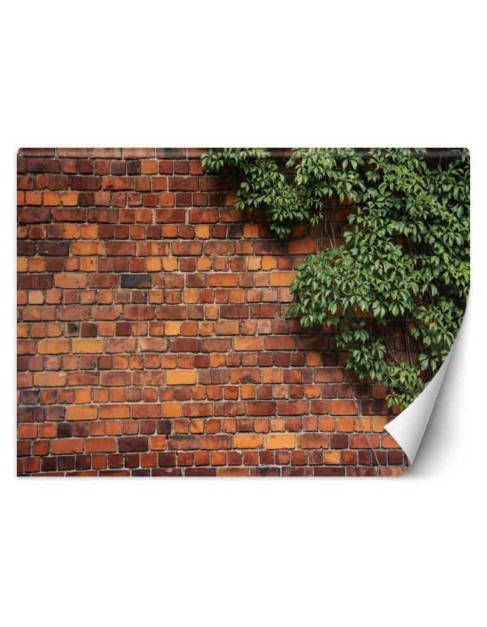 Living room wall mural - Plant brick wall | FEEBY