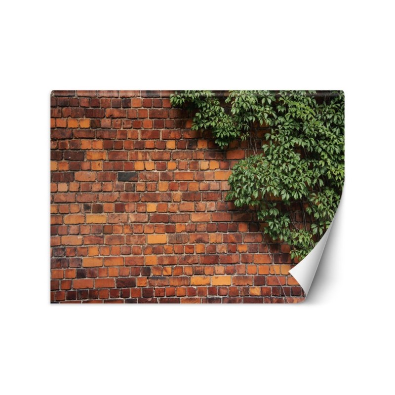 Living room wall mural - Plant brick wall | FEEBY