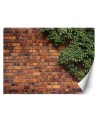 Living room wall mural - Plant brick wall | FEEBY