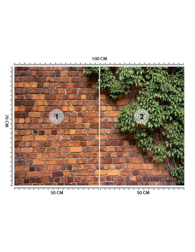 Living room wall mural - Plant brick wall | FEEBY