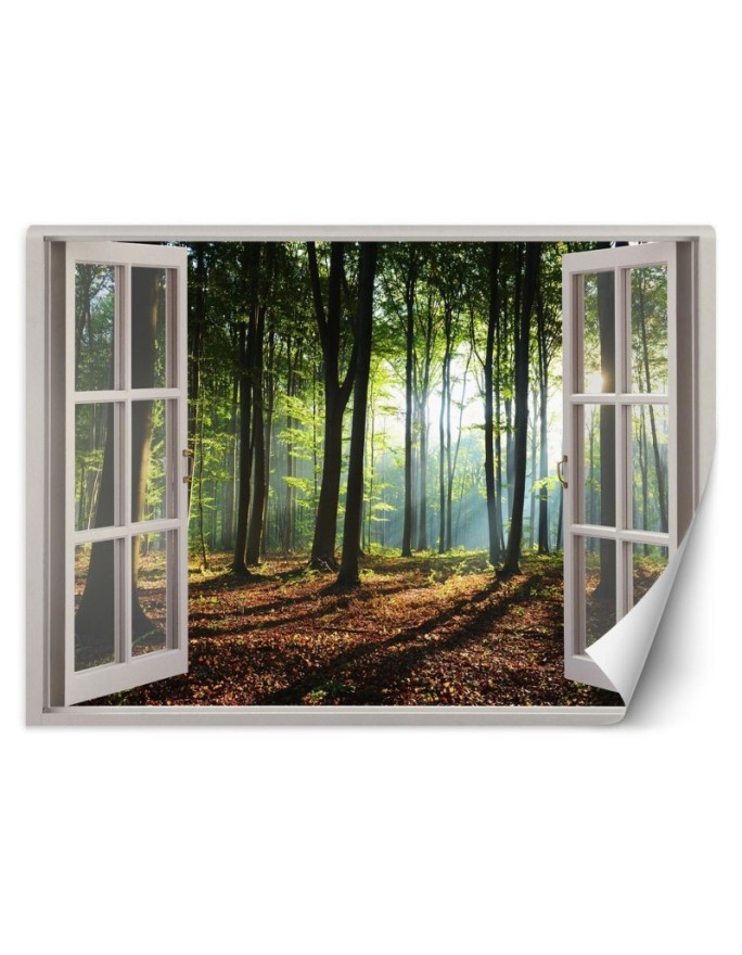 Modern Wallpapers - Window forest trees nature | FEEBY