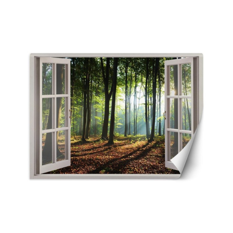 Modern Wallpapers - Window forest trees nature | FEEBY