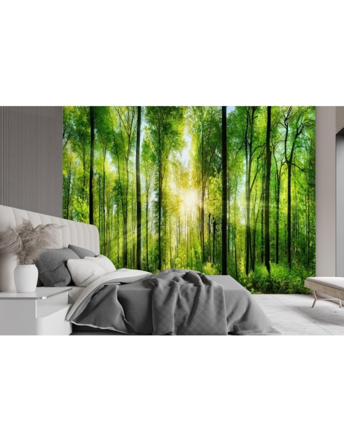 Beautiful Wallpapers - Sunshine forest nature | FEEBY