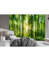 Beautiful Wallpapers - Sunshine forest nature | FEEBY