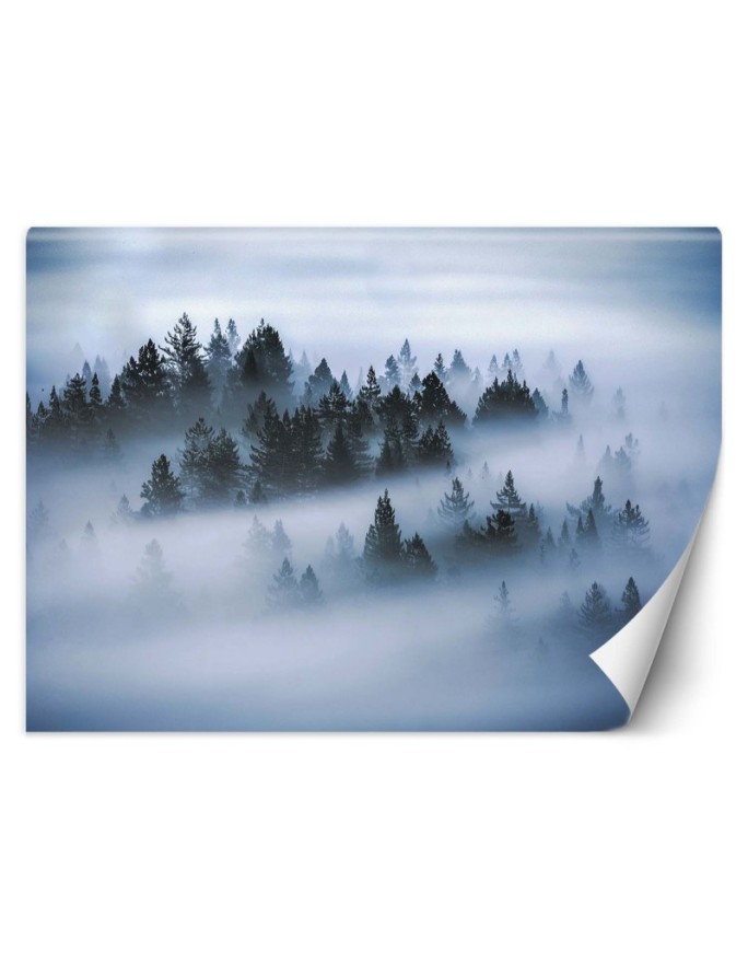 Wall mural Forest in fog