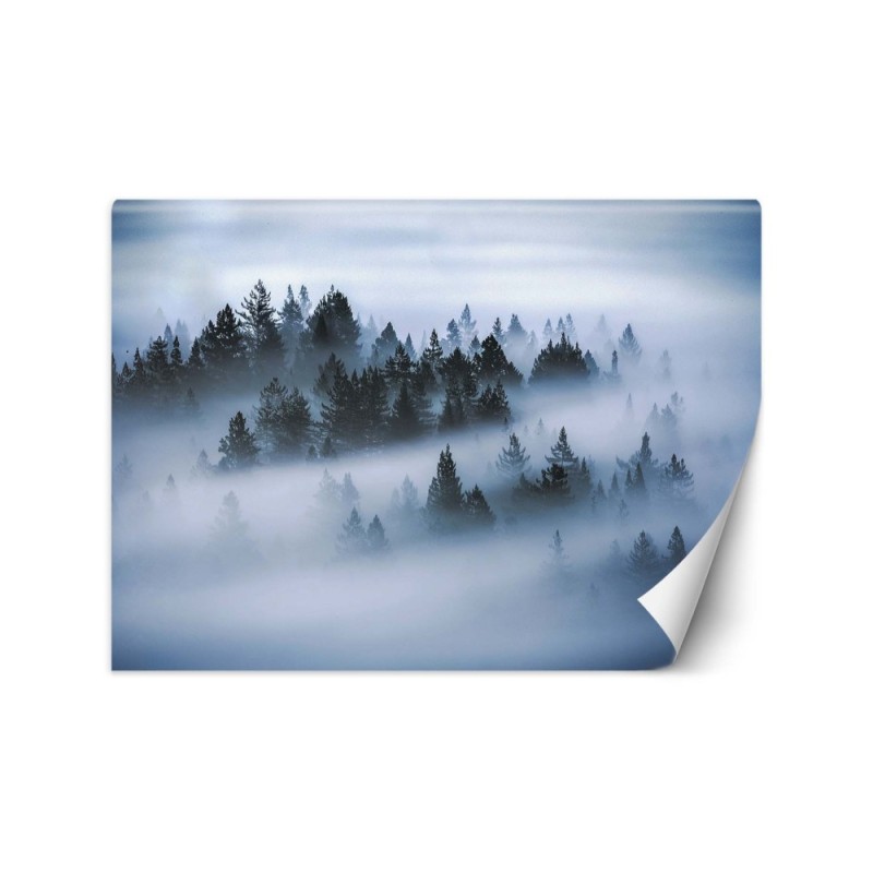 Original Wallpapers - Forest in mist | FEEBY