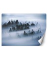 Original Wallpapers - Forest in mist | FEEBY