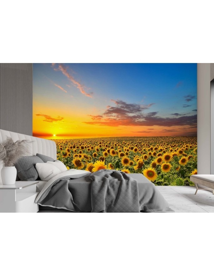 Wallpapers - Field of sunflowers | FEEBY