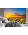 Wallpapers - Field of sunflowers | FEEBY