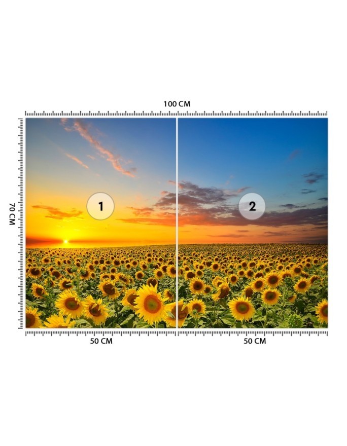 Wallpapers - Field of sunflowers | FEEBY