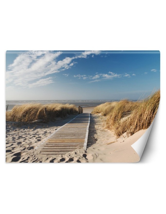 Beautiful Wallpapers for living room - Window view sea dunes | FEEBY