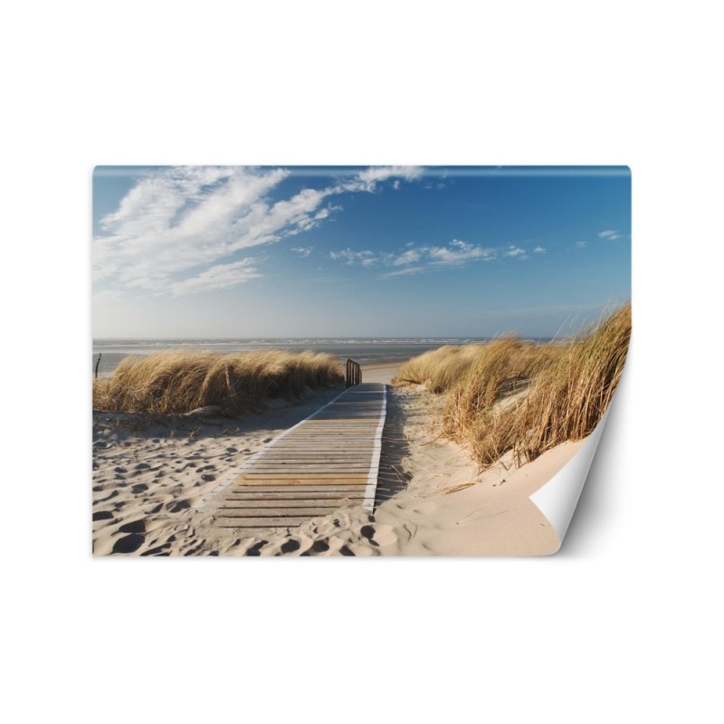 Beautiful Wallpapers for living room - Window view sea dunes | FEEBY