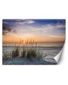 Wallpaper for living room or bedroom - Sunset on the beach | FEEBY