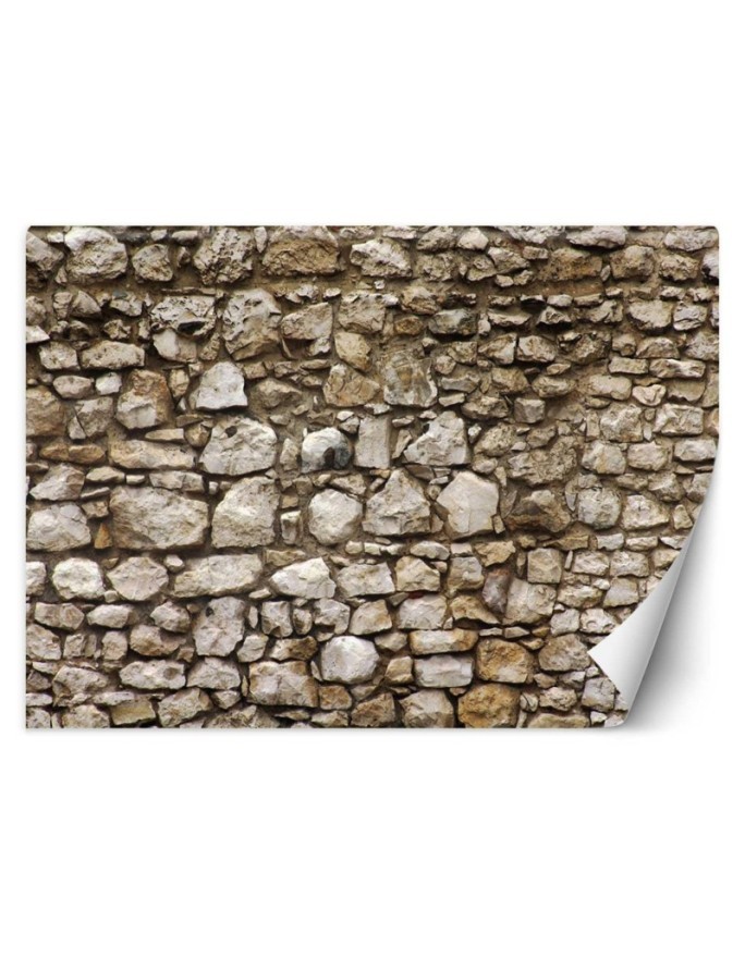 Texture wall murals - Stone wall | FEEBY