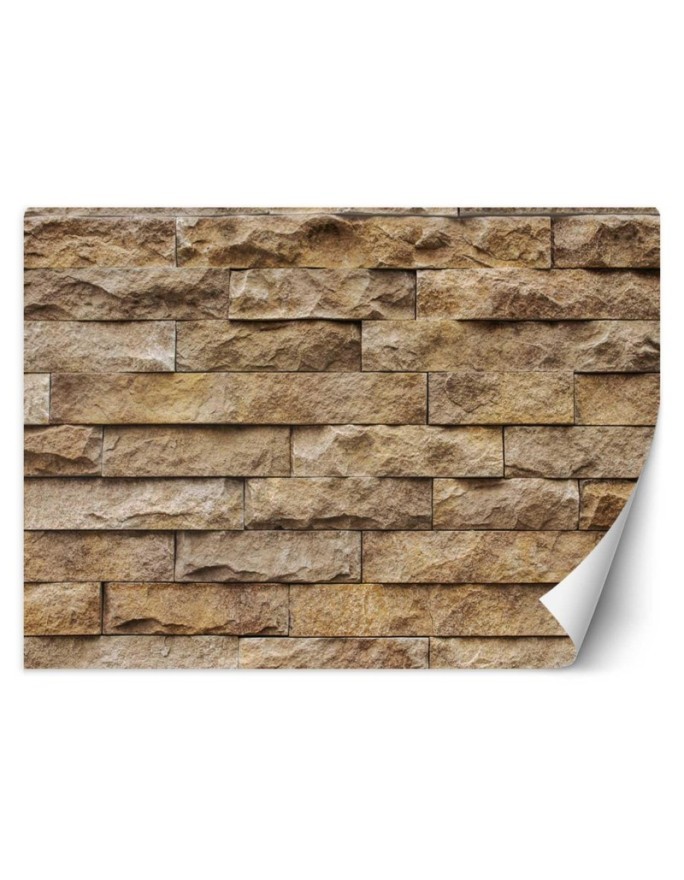Texture wall murals - Sandstone wall | FEEBY