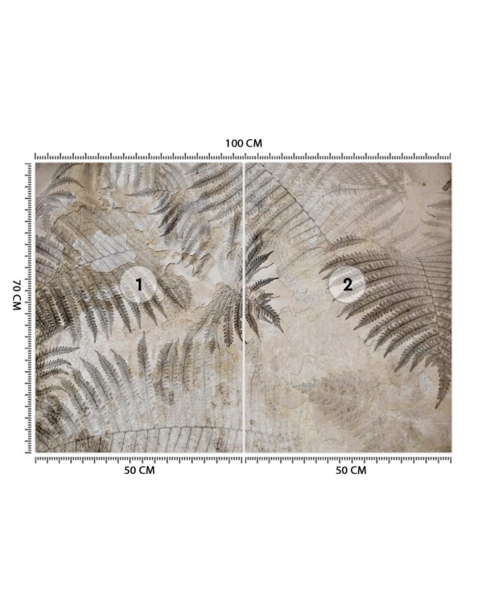 Exotic wall murals - Concrete Fern Leaf Grey | FEEBY