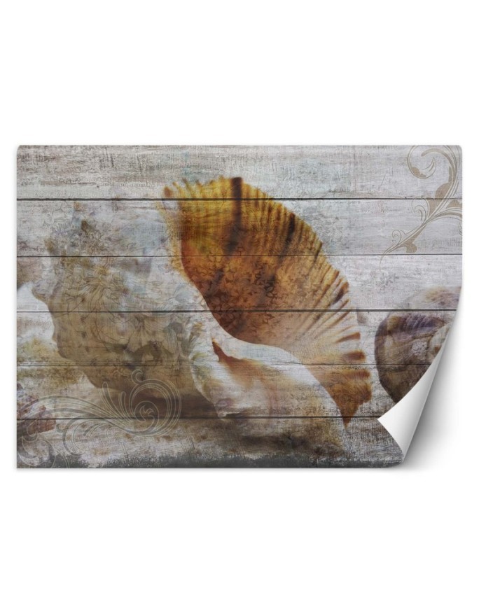 Beautiful wall murals - Vintage style shells | FEEBY