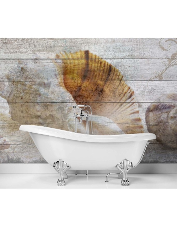 Beautiful wall murals - Vintage style shells | FEEBY