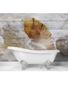 Beautiful wall murals - Vintage style shells | FEEBY