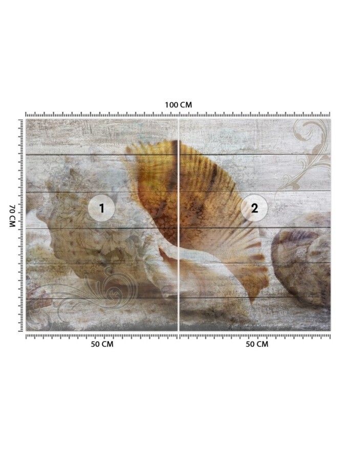 Beautiful wall murals - Vintage style shells | FEEBY