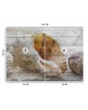 Beautiful wall murals - Vintage style shells | FEEBY