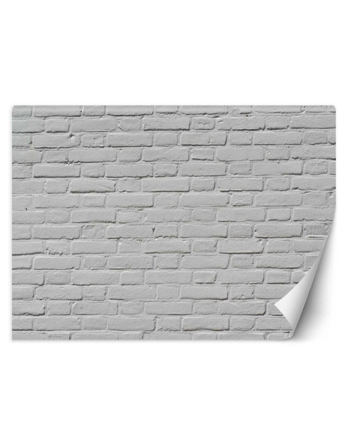Texture wall murals - White brick wall | FEEBY