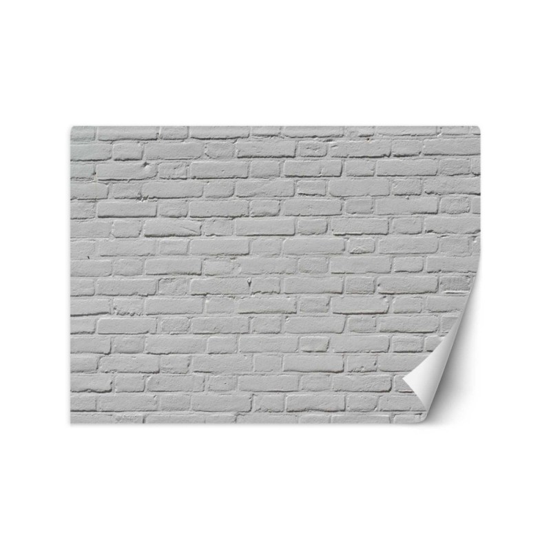 Texture wall murals - White brick wall | FEEBY