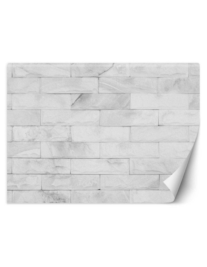 Texture wall murals - White brick wall | FEEBY