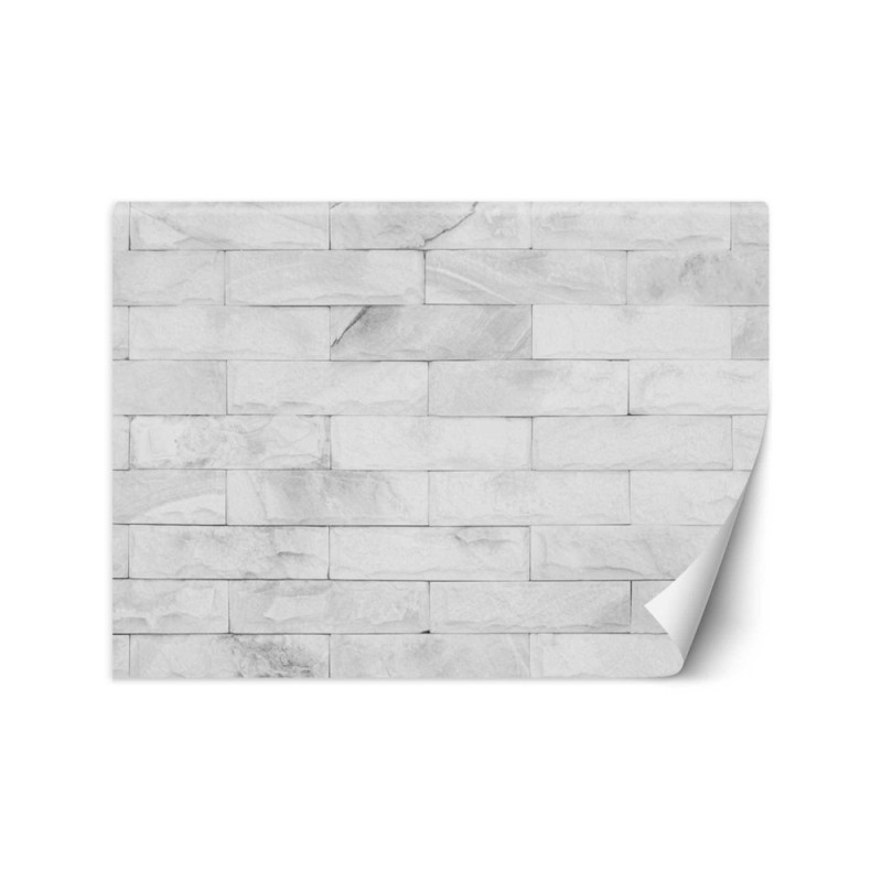 Texture wall murals - White brick wall | FEEBY