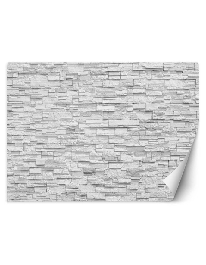 Modern wall mural - White brick wall | FEEBY