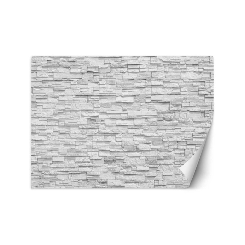 Modern wall mural - White brick wall | FEEBY