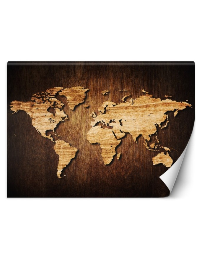 Wall mural World map on wood