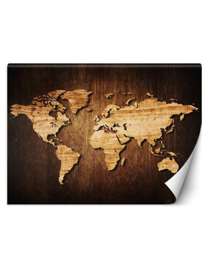 Elegant wall murals for the living room - World map on wood | FEEBY