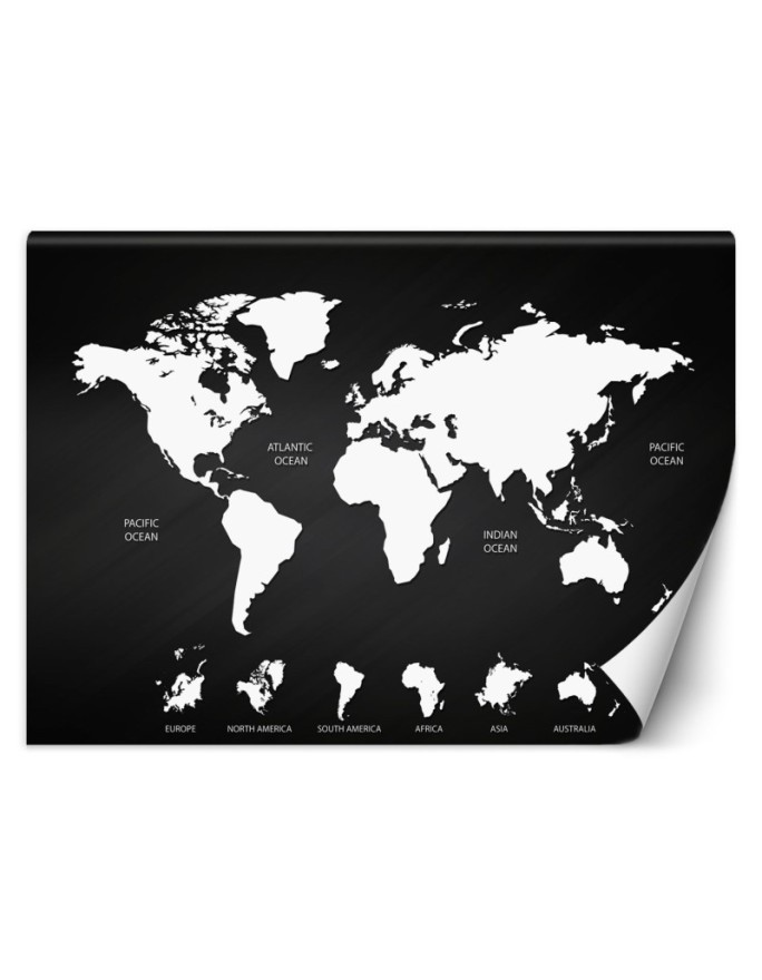 Inspirational wall murals - Black and white world map | FEEBY