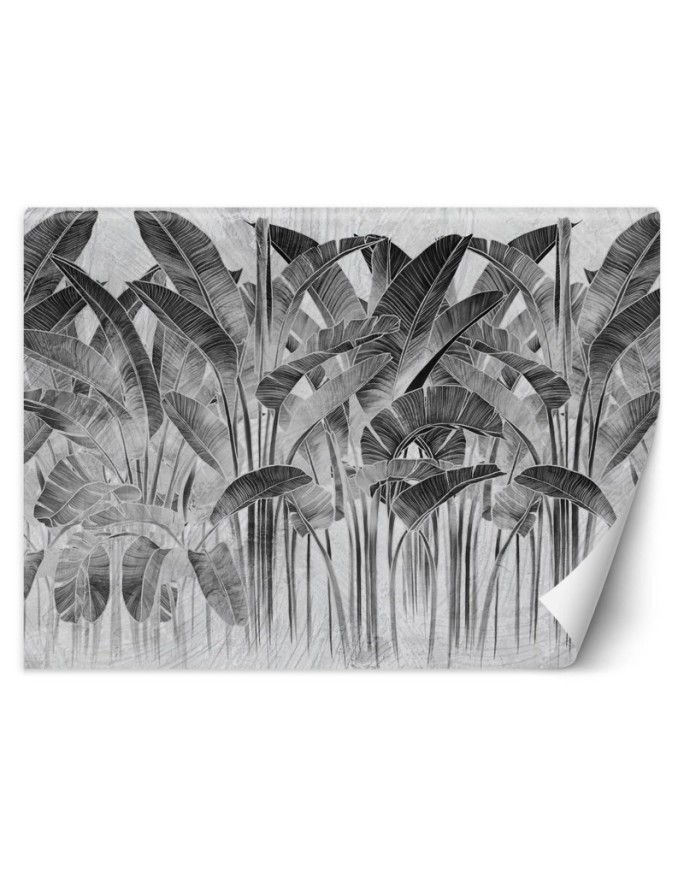 Inspirational wall mural - Banana leaves black and white lettering | FEEBY