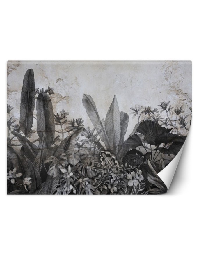 Tropical wall mural - Black and white tropical leaves on concrete background | FEEBY