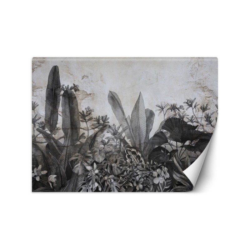 Tropical wall mural - Black and white tropical leaves on concrete background | FEEBY