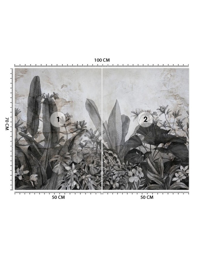 Tropical wall mural - Black and white tropical leaves on concrete background | FEEBY