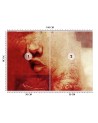 Modern wall mural - Delicate female lips abstract | FEEBY