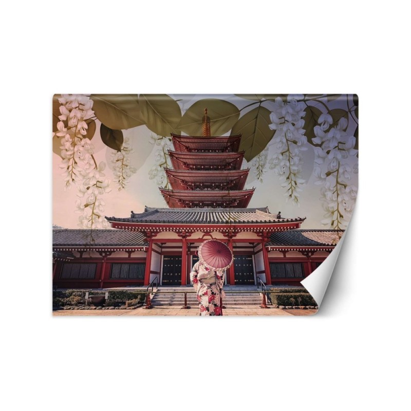 Inspirational wall mural - Geisha and Senso Ji temple in Tokyo | FEEBY