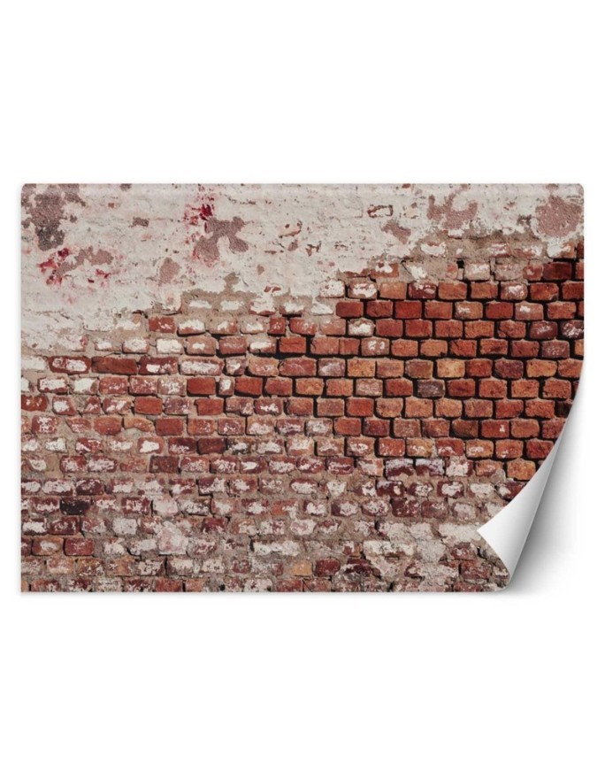 Texture wall murals - Old brick wall | FEEBY