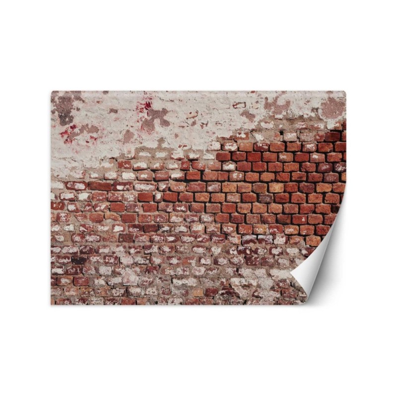 Texture wall murals - Old brick wall | FEEBY