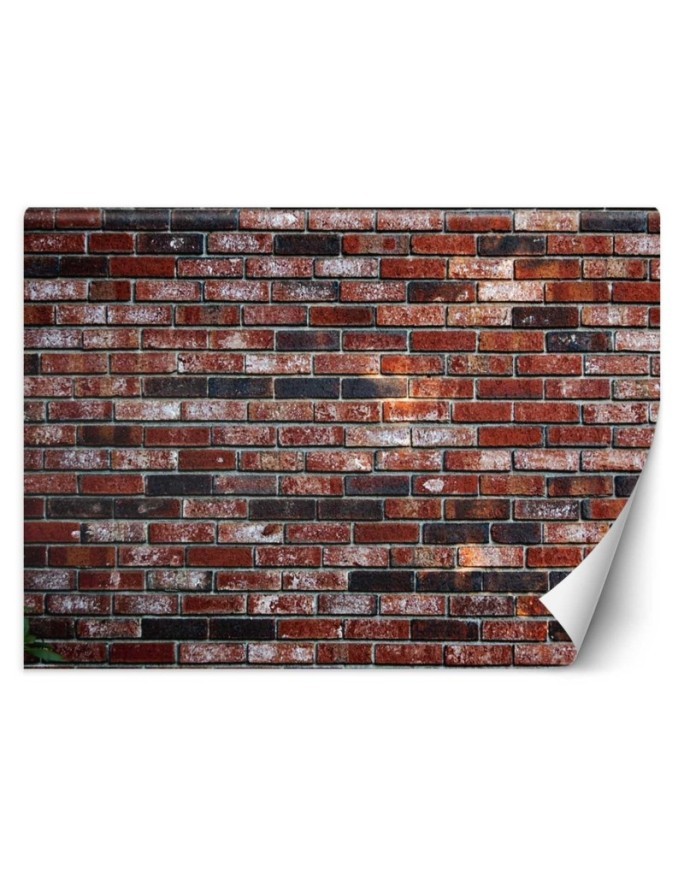 Texture wall murals - Red brick wall | FEEBY
