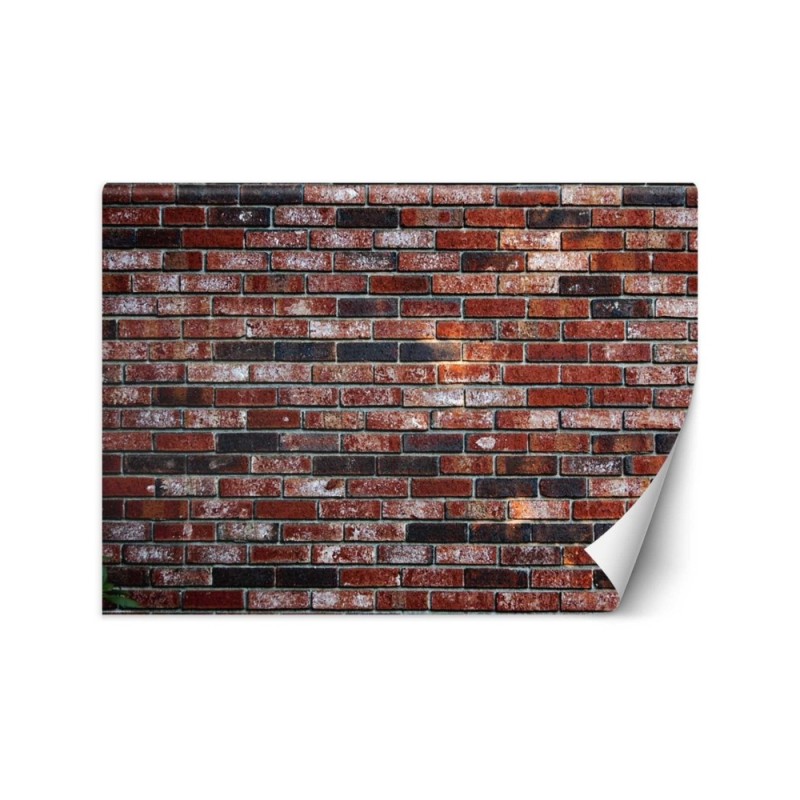 Texture wall murals - Red brick wall | FEEBY