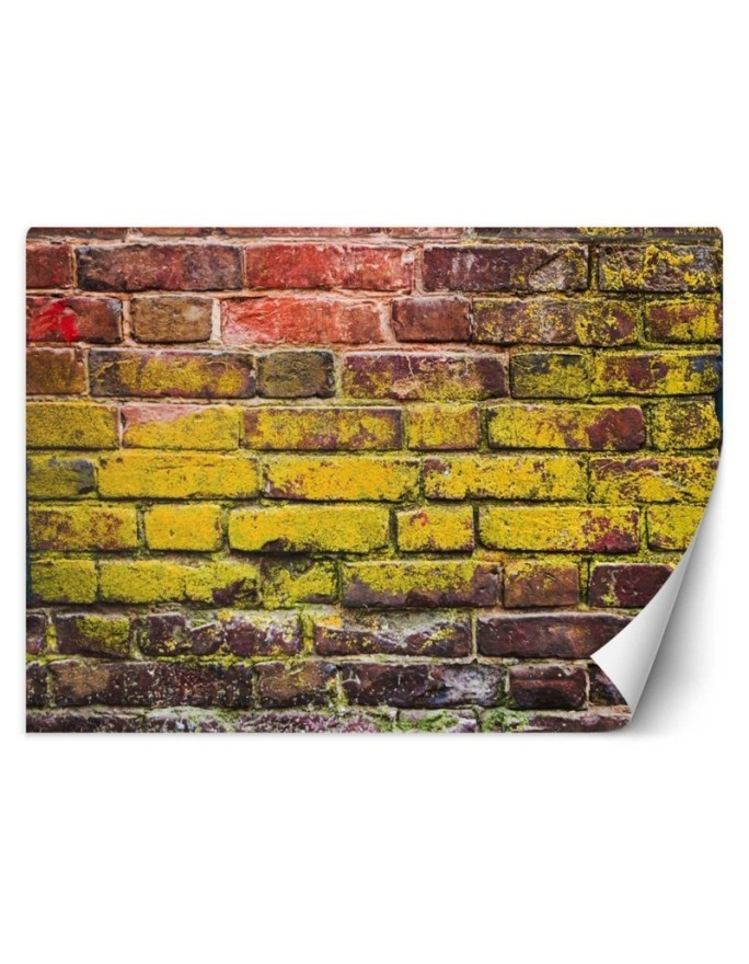 Texture wall murals - Old coloured brick wall | FEEBY