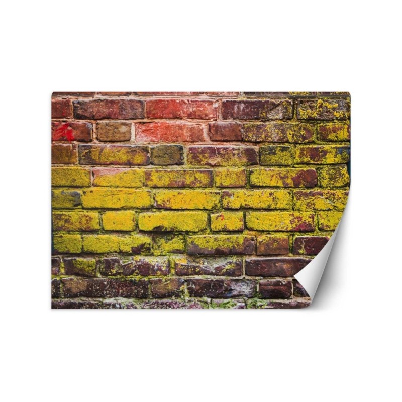 Texture wall murals - Old coloured brick wall | FEEBY